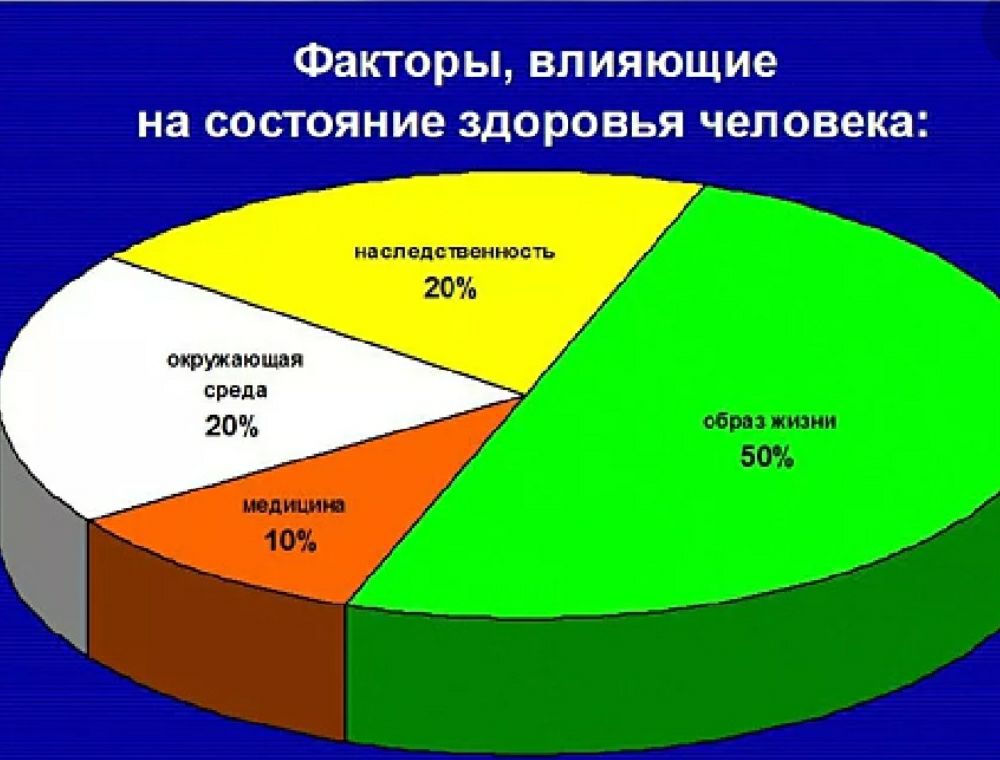 Диаграмма по теме зож